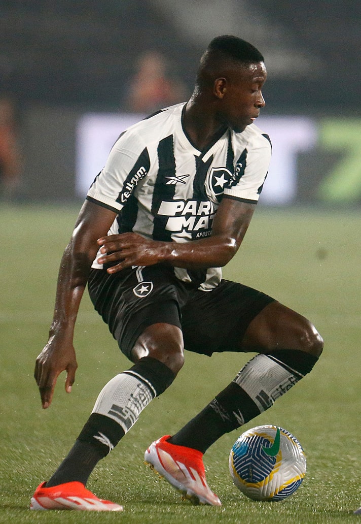 botafogo 12-min.jpg