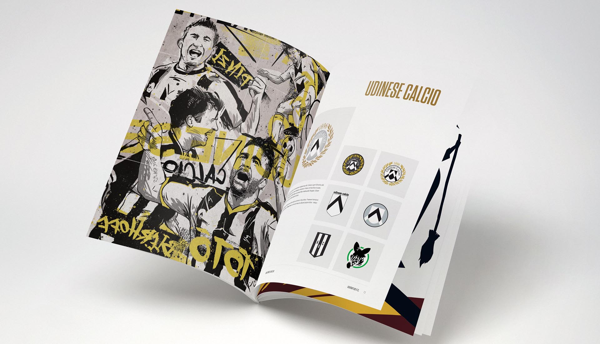 Football Crest Index Launch Kickstarter Campaign for Second Book ...